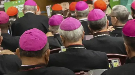 El Vaticano advierte que Camino Sinodal en Alemania podría amenazar la unidad de la Iglesia
