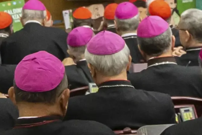 El Vaticano advierte que Camino Sinodal en Alemania podría amenazar la unidad de la Iglesia
