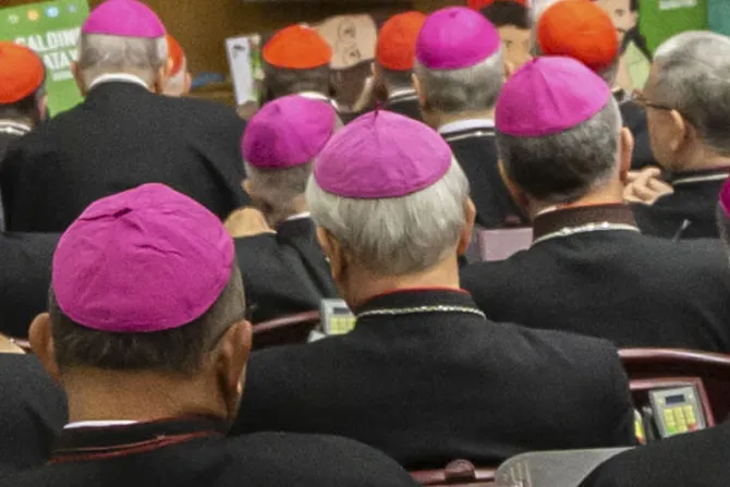 Suman 100 los cardenales y obispos que advierten del riesgo de cisma en Alemania