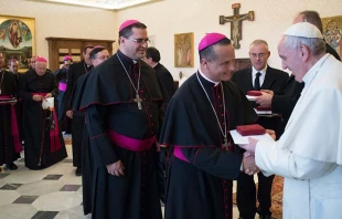 Mons. Fabio Colindres saluda al Papa Francisco, durante la audiencia con los Obispos de El Salvador. Foto: ACI Prensa / L'Osservatore Romano. 