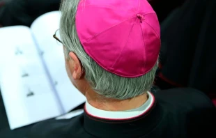 Imagen referencial / Cru00e9dito: Daniel Ibau00f1ez - ACI Prensa 