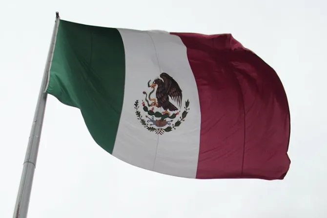 Papa Francisco nombra dos obispos para México