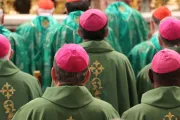 106 embajadores del Papa reflexionan sobre ideología de género y el islam