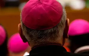 Imagen referencial. Obispos. Foto: Daniel Ibáñez / ACI Prensa 
