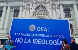 Cartel contra la ideologu00eda de gu00e9nero exhibido frente al Congreso del Peru00fa. Cru00e9dito: Carlos Polo 