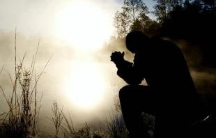 Imagen referencial. Cru00e9dito:  Aaron Burden / Unsplash. 