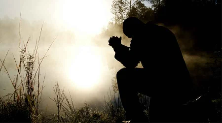 Obispos de Mu00e9xico alientan a trabajar con esperanza para superar crisis de pandemia