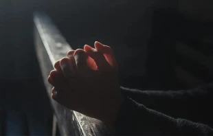 Imagen referencial. Cru00e9dito: Pixabay 