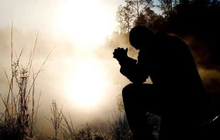 Imagen referencial. Foto: Pixabay / Dominio pu00fablico. 