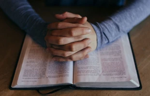 Imagen referencial. Cru00e9dito: Unsplash. 