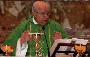 P. Buela. Cru00e9dito: Verbo Encarnado Espau00f1a 