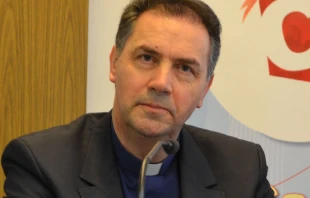 P. u00c1ngel Fernu00e1ndez - Foto: Mercedes De La Torre (ACI Prensa) 