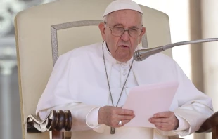 El Papa en la Audiencia General de este miu00e9rcoles. Cru00e9dito: Pablo Esparza/CNA 