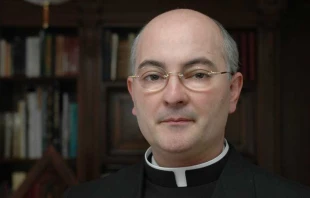 P. Josu00e9 Antonio Fortea. Foto: Cortesu00eda. 