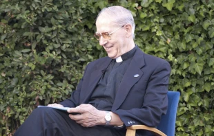 P. Adolfo Nicolu00e1s SJ. Cru00e9dito: www.jesuitas.org 