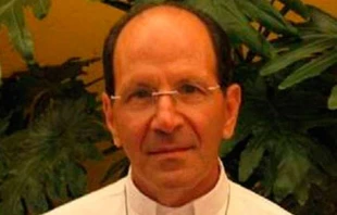 P. Alejandro Solalinde. Foto: Wisengamot Attribution-ShareAlike 3.0 Unported (CC BY-SA 3.0) 