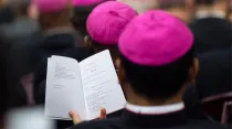 Padres Sinodales en el Aula del Sínodo. Foto: Vatican Media