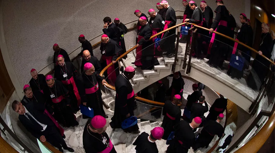 Los Padres Sinodales acceden al Aula del Sínodo. Foto: Vatican Media