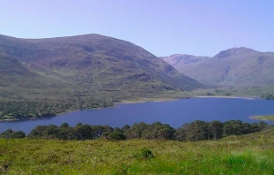 Foto referencial. PIxabay dominio pu00fablico 