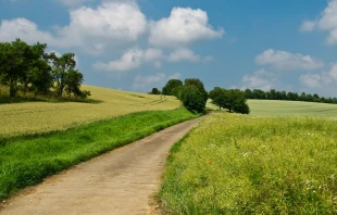 Imagen referencial. Foto: Pixabay Dominio Pu00fablico  