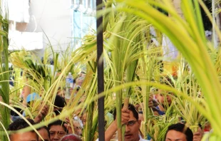 Palmas en Domingo de Ramos. Crédito: Cathopic.