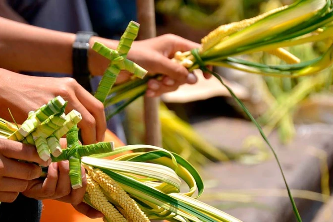 Inundación impide a iglesias en Maracaibo contar con palmas de Domingo de Ramos