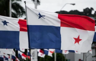 Imagen referencial / Cru00e9dito: Pexels 