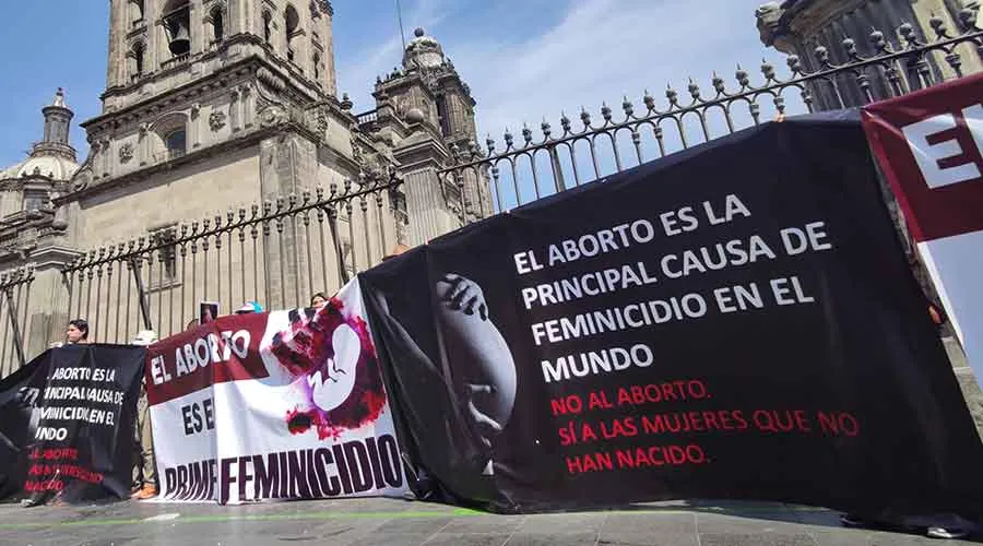 Pancartas provida en el exterior de la Catedral Metropolitana de México durante marcha feminista del 8 de marzo. Crédito: David Ramos / ACI Prensa.