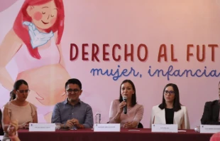 Panel u201cDerecho al futurou201d. Cru00e9dito: Pasos por la Vida. 