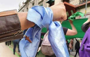 Imagen referencial / Pau00f1uelo celeste provida. Cru00e9dito: David Ramos / ACI Prensa. 