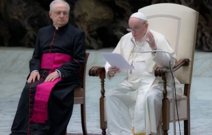 El Papa Francisco durante la Audiencia General. Foto: Daniel Ibu00e1u00f1ez / ACI Prensa 