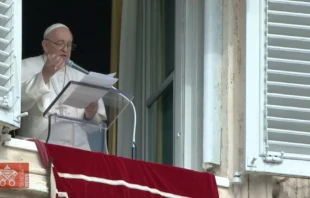 Papa Francisco en el rezo del u00c1ngelus este 23 de octubre. Cru00e9dito: Captura de video / Vatican Media. 