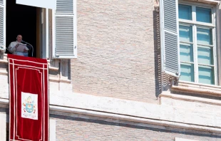 El Papa Francisco habla a los fieles desde el Palacio Apostu00f3lico. Foto: Vatican Media 
