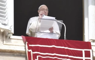 Papa Francisco en el u00c1ngelus este 23 de octubre. Cru00e9dito: Vatican Media. 