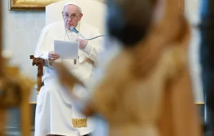 El Papa Francisco durante una audiencia. Foto: Vatican Media 