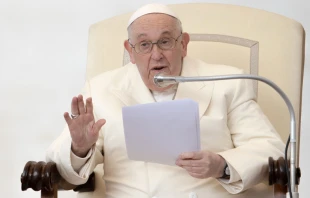 El Papa Francisco en la audiencia general de hoy. Cru00e9dito: Daniel Ibu00e1u00f1ez / ACI Prensa 