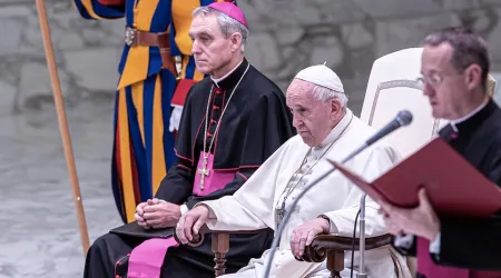 El Papa invita a vivir el sufrimiento con fe en Cristo
