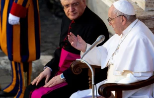 El Papa Francisco durante la Audiencia General. Foto: Vatican Media 