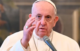 El Papa Francisco durante la Audiencia General. Foto: Vatican Media 