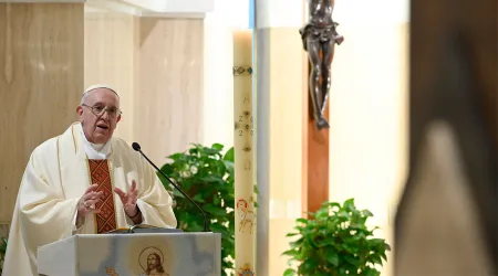 Papa Francisco: “El pecado nos ciega, nos convierte en murciélagos humanos”