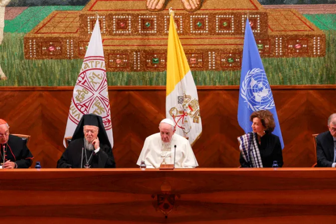 El Papa advierte del riesgo de alejarse del objetivo de protección del medio ambiente