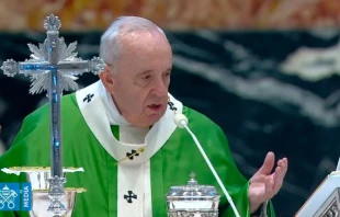 El Pontu00edfice durante la celebraciu00f3n de la Misa. Foto: Captura de Youtube 