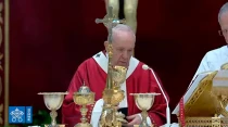El Papa durante la celebraciu00f3n de la Misa. Foto: Captura de Youtube