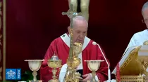 El Papa durante la celebración de la Misa. Foto: Captura de Youtube