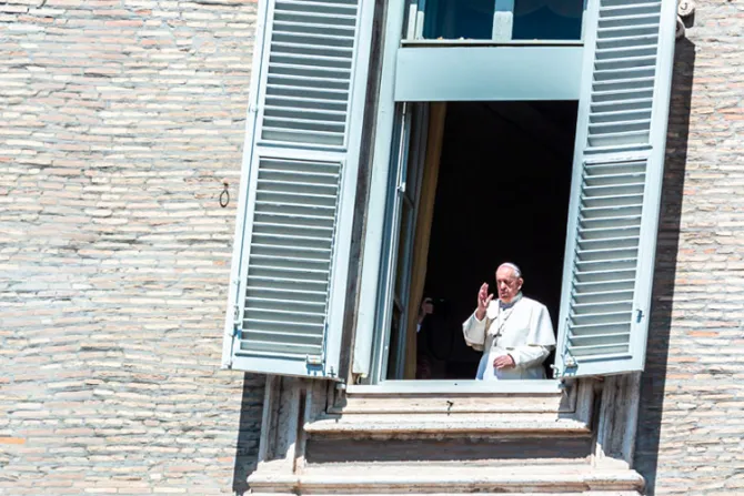Papa Francisco pide no olvidar a los millones de enfermos de malaria
