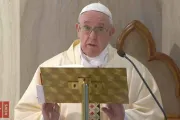 Papa Francisco en Domingo del Buen Pastor resalta ejemplo de sacerdotes y médicos