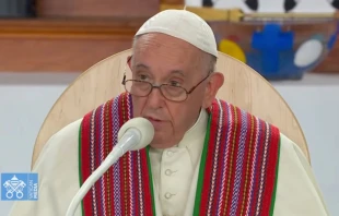 Papa Francisco en Liturgia de la Palabra cerca del Lago de Santa Ana, en Canadu00e1. Cru00e9dito: Captura de video / Vatican Media. 