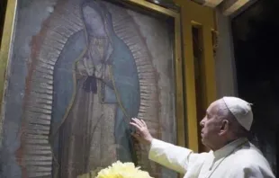 Papa Francisco toca la imagen original de la Virgen de Guadalupe durante su visita a México en 2016. Foto: Vatican Media / ACI Prensa 