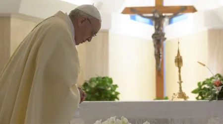 El Papa Francisco reza por las personas que trabajan en la Cruz Roja