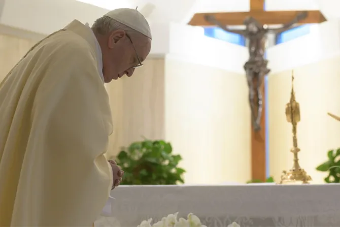 El Papa Francisco reza por las personas que trabajan en la Cruz Roja